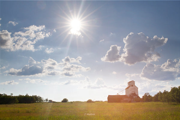 Wanderlust themed art print of life on the prairies and by the elevators. Bardo grain elevator Alberta Wheat Pool.