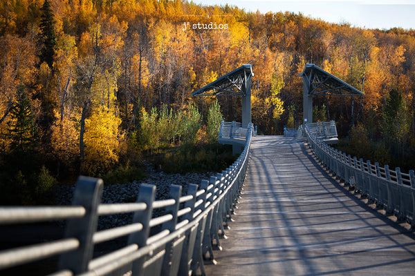 Autumn Footbridge