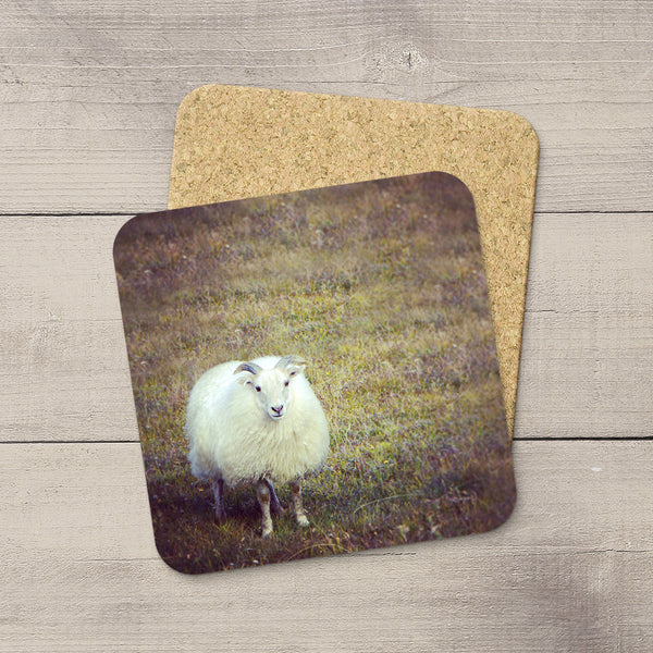 Coaster featuring a cute Sheep from Iceland by Christina Jang.