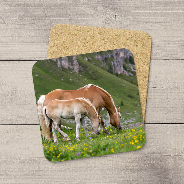 Coaster with a picture of a Family of wild horses in Dolomites mountains of Italy by Christina Jang