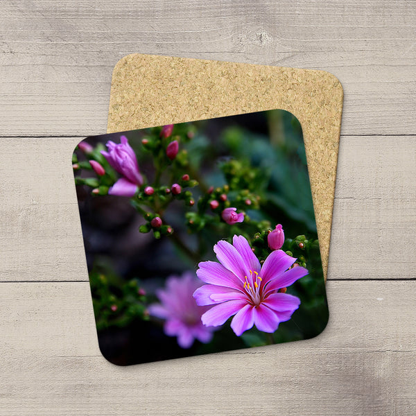 Picture of pink bitterroot flowers printed onto drink coasters by Edmonton photographer Larry Jang.