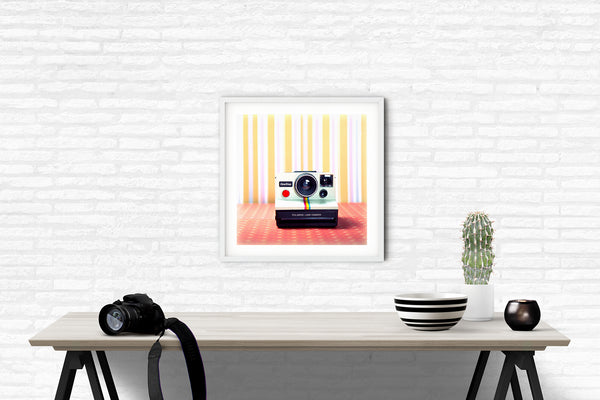 Vintage Camera #3 (Polaroid)