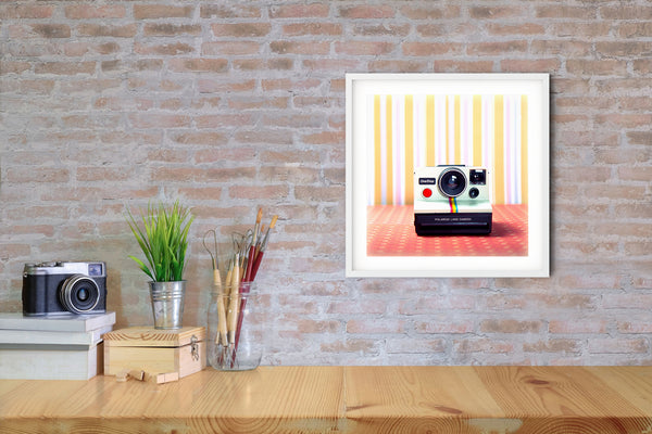 Vintage Camera #3 (Polaroid)