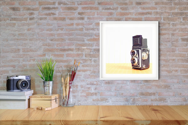 Vintage Camera #8 (Rollop)