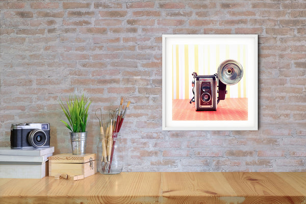 Vintage Camera #1 (Kodak Duoflex)