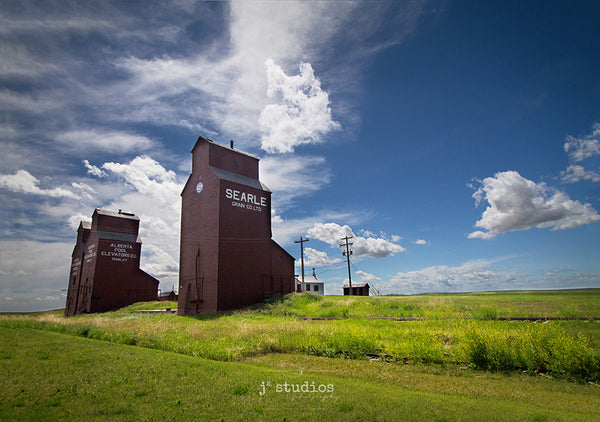 Image of the trio of grain elevators in the ghost town of Rowley, Alberta.