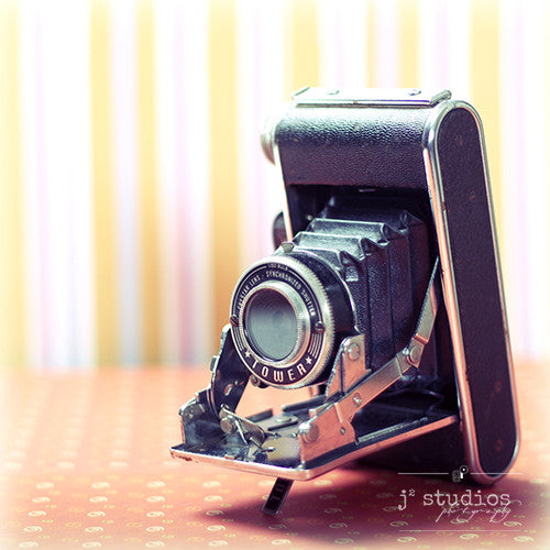 Vintage Camera #2 is an art print of a Folding Sears Tower Model 51 camera.