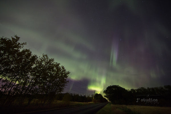 Aurora Borealis mage featuring dancing celestial lights & purple ribbon phenomena known as Steve. Night sky landscape photography over Edmonton, Alberta.