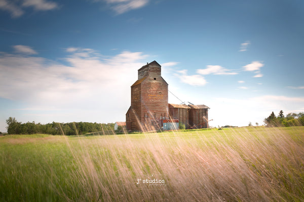 Soft and Peaceful art print of wild grass blowing softly by the fields of Kingman. Best Grain Elevator images of Alberta. Iconic Canada. Prairie Photography.