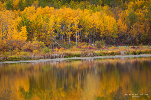 Autumn Reflections