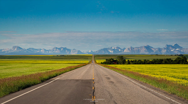 Road to Waterton