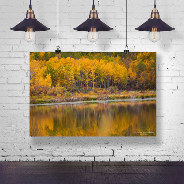 Autumn Reflections