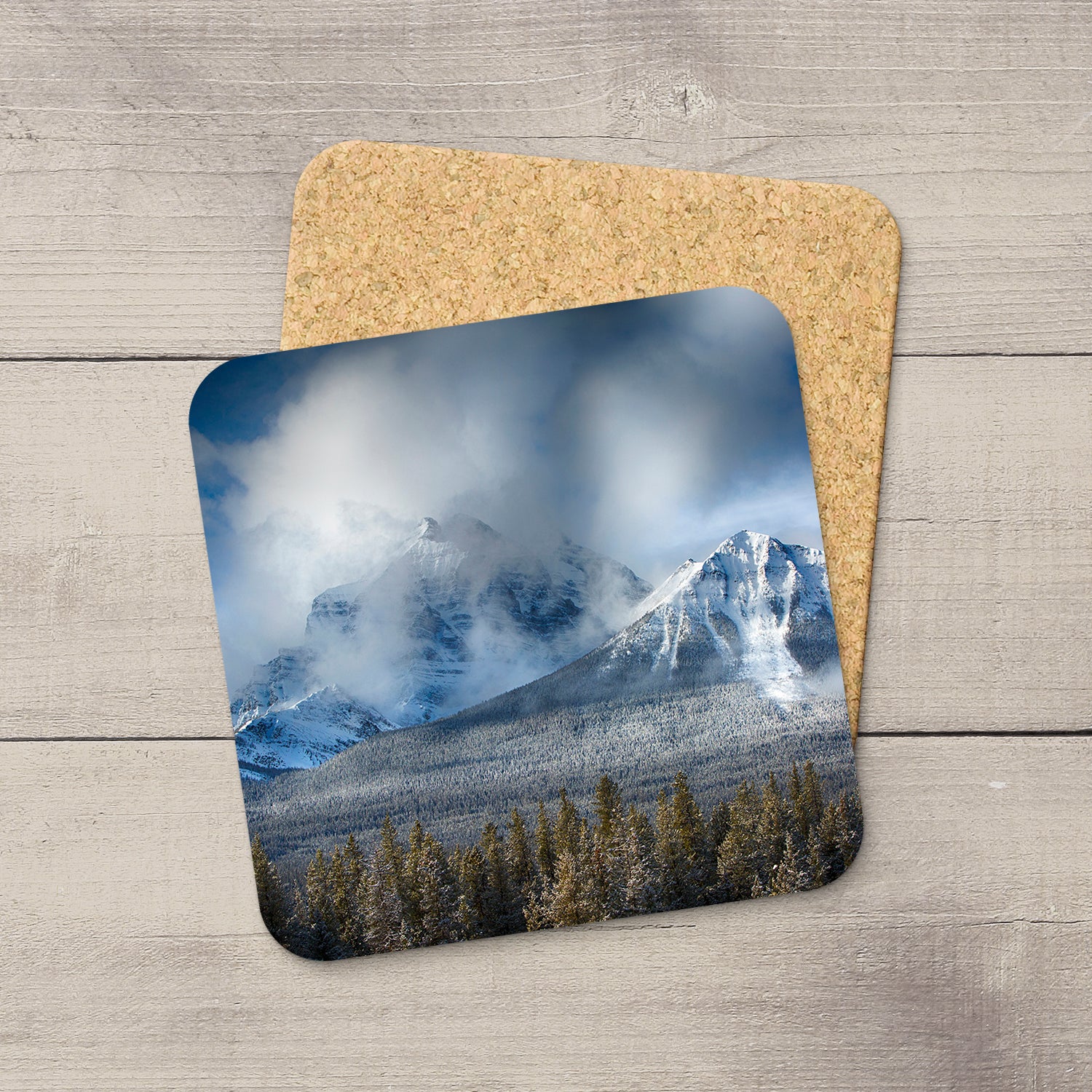 Landscape Coaster Collection