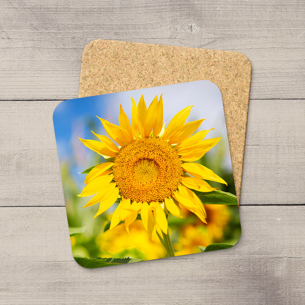 Flowers Coaster Collection