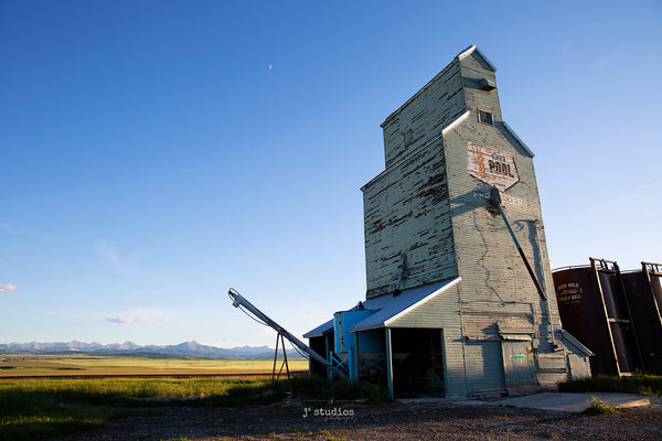 About Elevators, Canola and Mountains