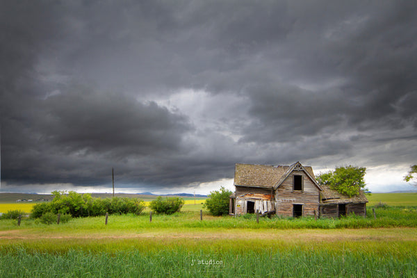 Beautiful Abandoned House standing steadfast against incoming storm. Canola fields. Mountains. Classic Alberta. 