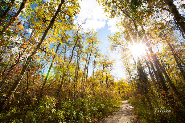 Autumn Hike