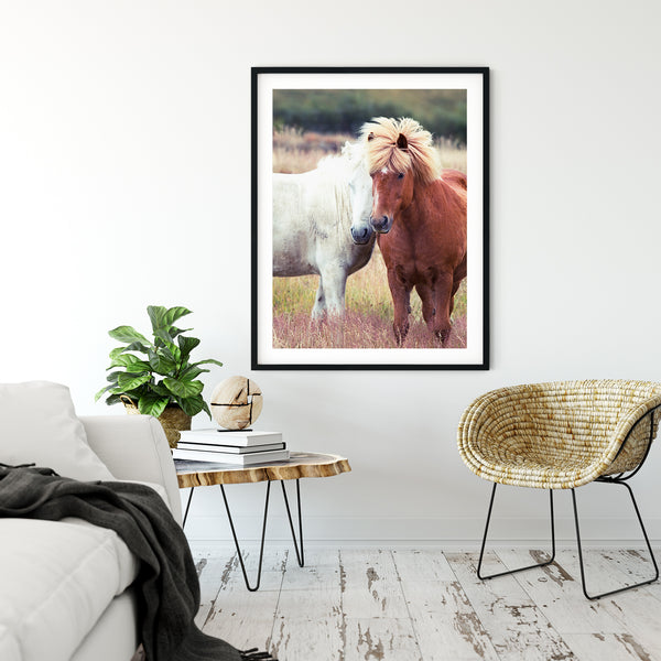 Icelandic Horses
