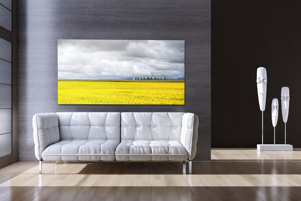 Stunning wall decor ideas for modern living room, a big canvas of canola field and grain silos.