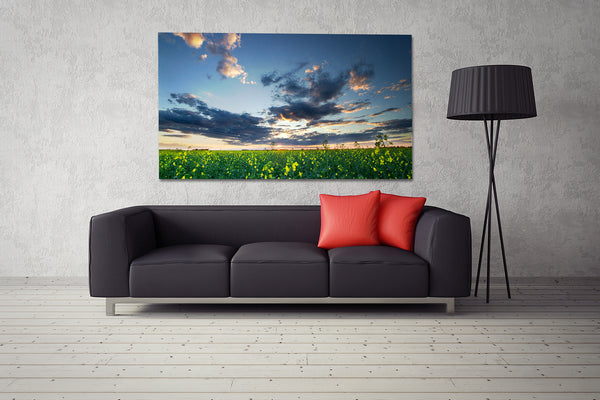 Big canvas on display above a couch in a modern living room. Home decor by photographer Larry Jang.