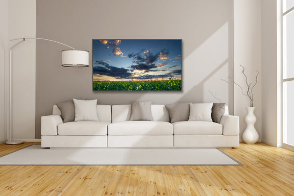 Canvas of a Canola Field at sunset hanging up in a modern living room. Wall decor ideas for executive homes by Larry Jang.
