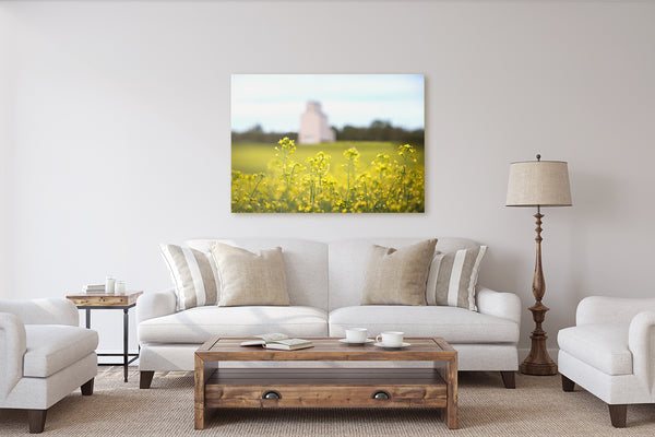Farmhouse decor ideas. Canvas print of canola flowers on display in rustic living room.