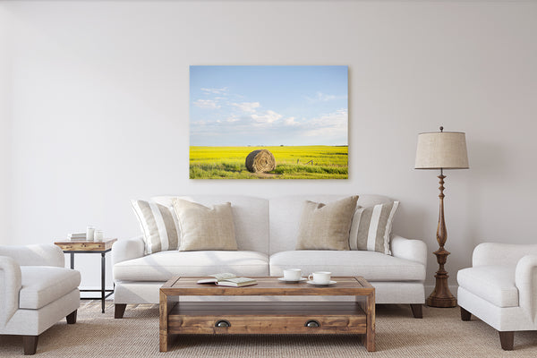 Modern farmhouse decor. Canvas print of round hay bale on canola field. 