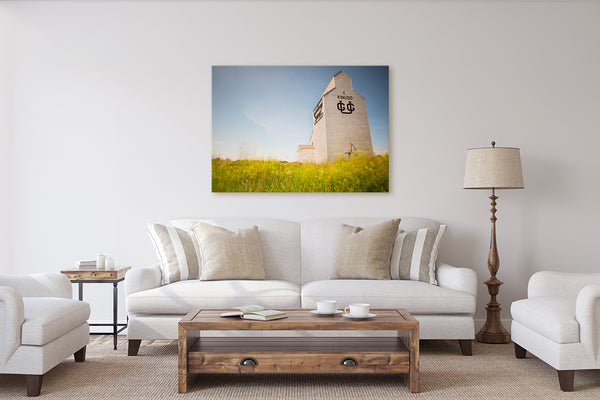 Rustic living room decor ideas. Canvas print of blowing wild grass.