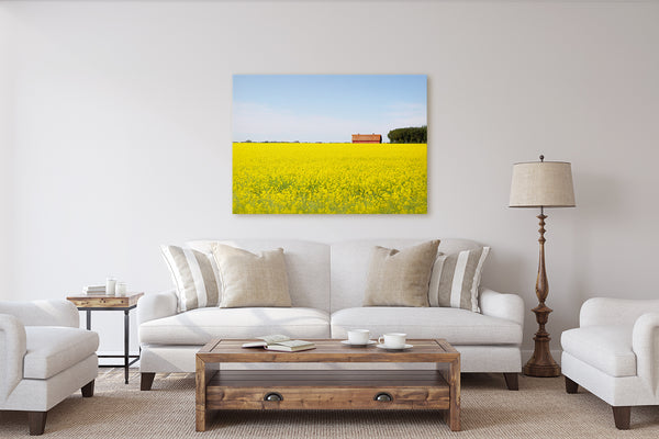 Red Barn Canola