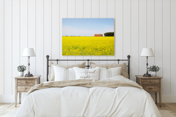 Red Barn Canola