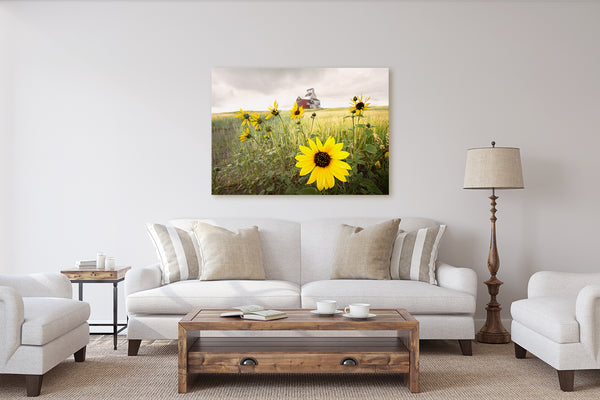 Sunflower on the Prairie