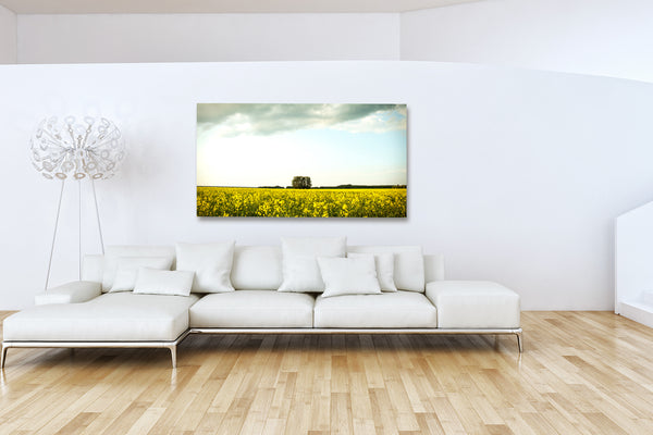 One Tree Field