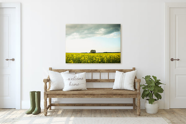 One Tree Field