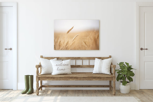 Wheat Heads
