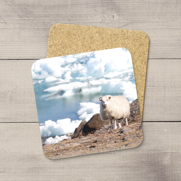 Drink Coaster featuring a sheep grazing by the Icebergs in Iceland.