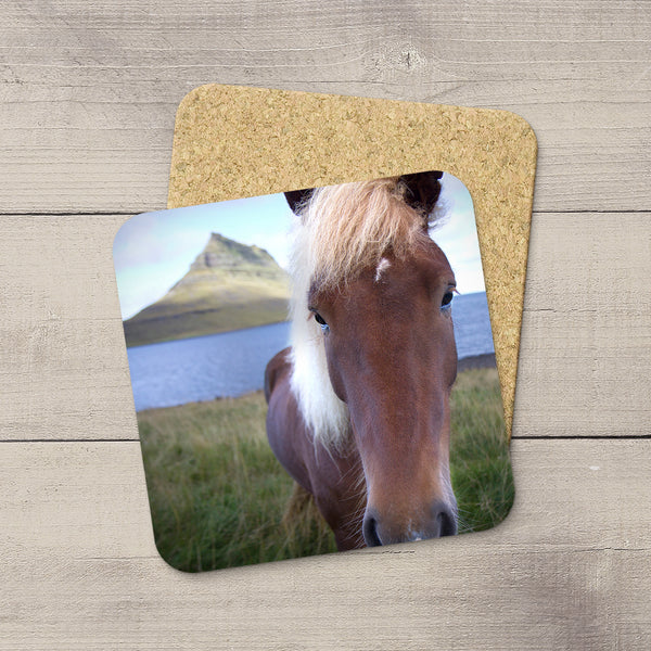 Coaster of an Icelandic horse looking into the camera by Christina Jang