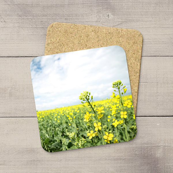 Photo Coasters of canola flowers in Canadian Prairies  by Edmonton based photographer, Larry Jang.