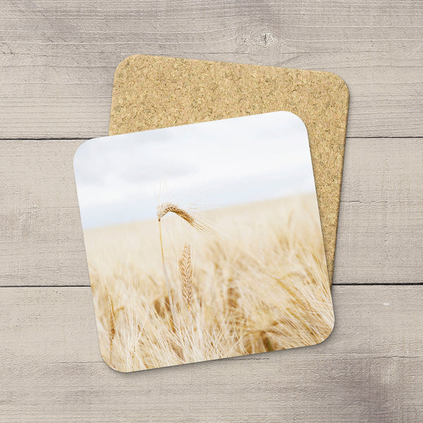Drink Coasters featuring a barley spikes & awns by Alberta based photographer, Larry Jang.