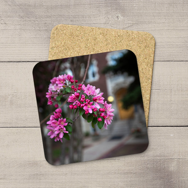 Pink blossoms on a tree in Oliver, a neighbourhood in Edmonton. Hand printed onto drink coasters by Edmonton photographer Larry Jang. 