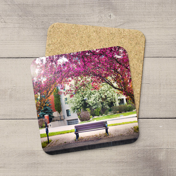 Picture of a park bench under pink blooming trees in the Edmonton River Valley . Hand printed on drink coasters by Edmonton photographer Larry Jang.