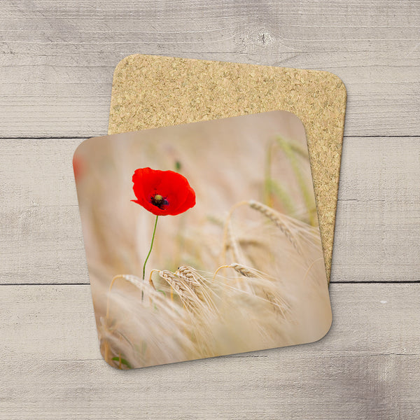 Photograph of Red Poppy blooming in a barley field. Printed on a photo coaster by Edmonton photographer Larry Jang.