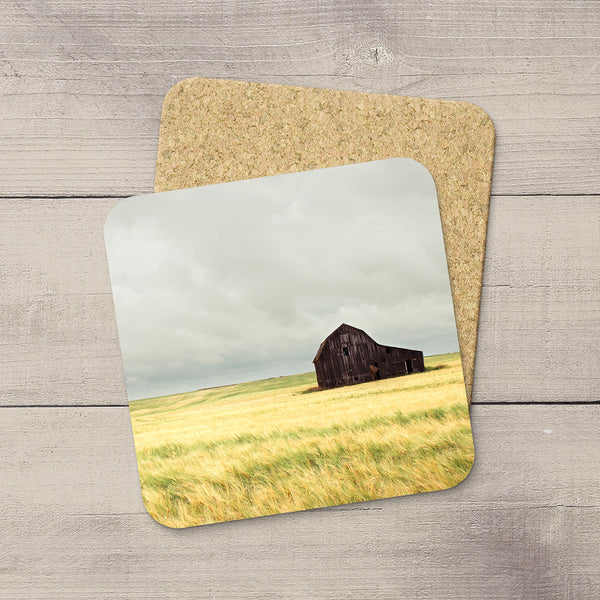 Photo of an abandoned barn sitting on a barley field in Alberta by Edmonton based photographer Larry Jang.