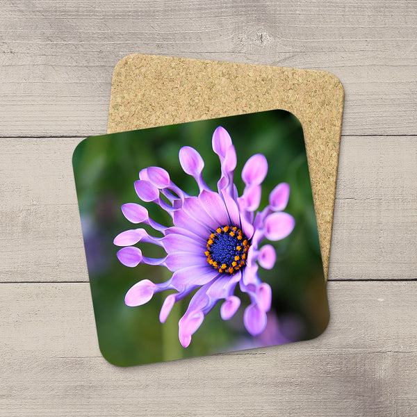 Pink flowers on photo coasters by Edmonton photographer Larry Jang.