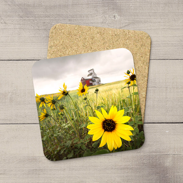 Picture of a sunflower with Raley grain elevator in background. Home accessories by Edmonton based photographer & artist, Larry Jang