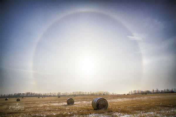 Sun Dogs and Bales of Hay is an art print of a snow covered countryside in Alberta.