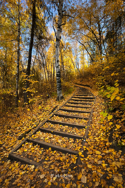 Autumn Stairs