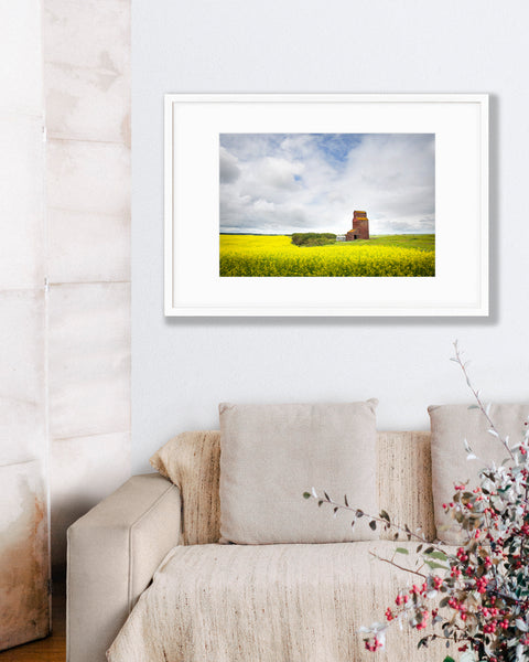 Big Matted Art Print Ready to Frame Grain Elevator in Canola Field