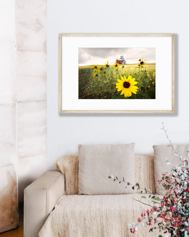 Big Matted Art Print Ready to Frame Grain Elevator Field of Sunflowers
