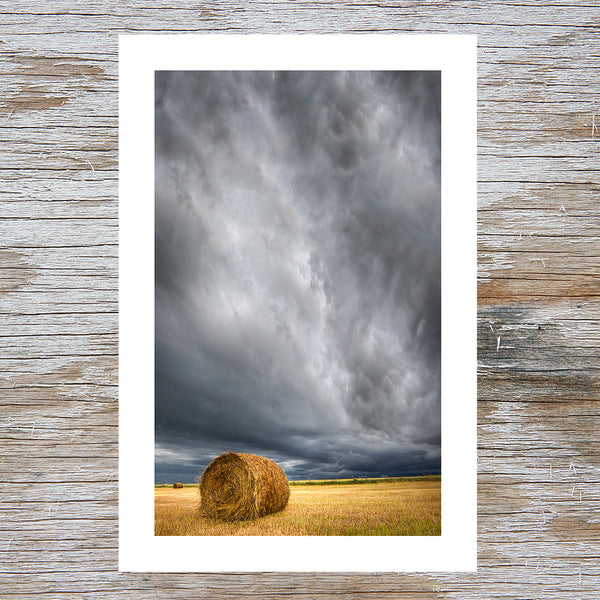 Bale Under the Storm (Vertical Version)