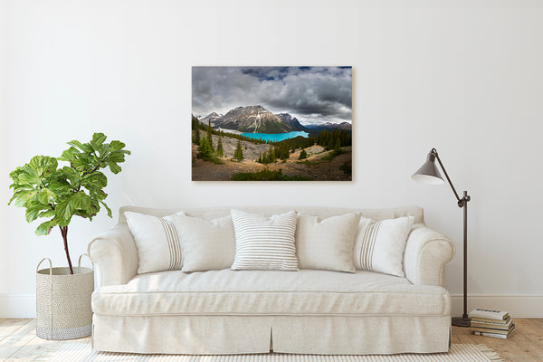 Framing Peyto